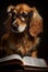 Learned dog meditates by an open book. AI genarated