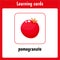 Learning cards for kids. Pomegranate . Fruits