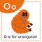 Learning English alphabet for kids. Letter O. Cute cartoon orangutan.