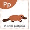Learning English alphabet for kids. Letter P. Cute cartoon platypus.