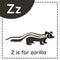 Learning English alphabet for kids. Letter Z. Cute cartoon zorilla.