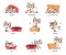 Learning english prepositions. Preschool grammar cute kitty playing with box prepositions on above under near in and on