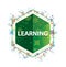 Learning floral plants pattern green hexagon button