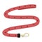 Leashes for animals, cats, dogs, animal care