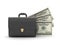 Leather business briefcase and money