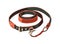 Leather collar for modern canine fashion accessory