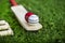 Leather Cricket ball resting on a cricket bat placed on green grass cricket ground pitch