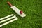 Leather Cricket ball resting on a cricket bat placed on green grass cricket ground pitch