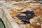 Leather drying near stone vats in Tannery of Tetouan Medina.