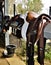 Leather English Saddles for Jumper Horses
