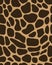 Leather of giraffe