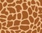 Leather giraffe