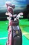 Leather golf bag and clubs