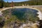 Leather Pool in Yellowstone National Park