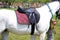 Leather saddle for equestrian sport on a back of a horse