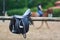 A leather saddles horse in a stable