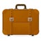 Leather suitcase, front view