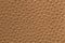 Leather texture of ostrich skin