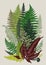 Leaver ferns. Composition. Vector botanical vintage illustration.