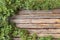 Leaves and berries of green grapes on a wooden background. Boards