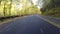 Leaves Blowing Behind Car on Blue Ridge Parkway