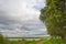 Leaves blowing in the wind from trees along the edge of a lake in a green windy rainy wetland in spare sunlight under a grey white