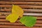 Leaves falling from a tree on a park bench. Yellow and yellowing linden leaves lie on a wooden bench.