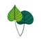 Leaves foliage narute decoration organic icon