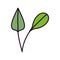 Leaves foliage narute decoration organic icon