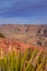 Leaves in front of view over Grand Canyon at Eagle Point