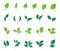 Leaves icon vector set. Ecology icon set.
