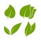 Leaves icons. Green plants various shapes, eco and bio label, organic foliage badge, herbal tea emblem. Young trees