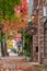 Leaves line the sidewalk during autumn in historic Fairhaven