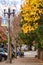 Leaves line the sidewalk during autumn in historic Fairhaven