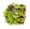 Leaves mix lettuce. Top view. Vegetable still