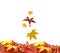 Leaves moving flying from the wind autumn weather background isolated