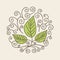 Leaves organic icon