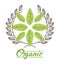 Leaves organic icon