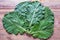 Leaves of rastan  Collard greens, collards    - popular leafy vegetables in Balkan cuisine