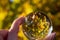 Leaves reflection in crystal ball in autumn