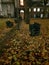 Leaves scattered across this wet London church yard park Grey Friars