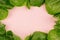 Leaves spinach as frame on pink background. Healthy dieting spring food.