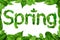 Leaves spring font