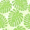 Leaves of tropical plant - Monstera. Seamless.