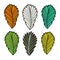 Leaves vector illustration. Autumn leaves collection. Isolated fall set.