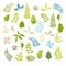 Leaves vector set. Botanical garden elements on white background. Leaves spring and summer set.