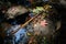 Leaves on the waterway. Light and shadow on water surface.