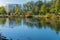 Leaving a trail on the water surface float ducks like ships at a rapid pace against the background of the park on the