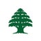 Lebanese cedar symbolizes powerful and beautiful.