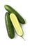 Lebanese Cucumbers over White